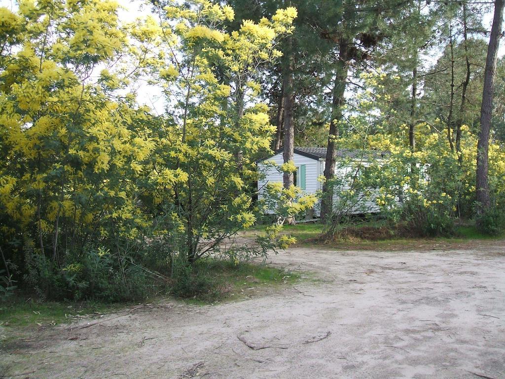 Residence Santa Ghisonaccia Exterior foto